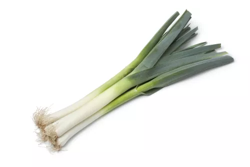 Bio : Poireau Primeur - photo1