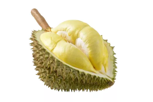 Durian - photo1