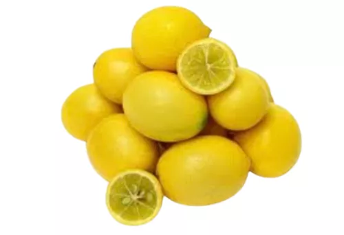 Limequat - photo1