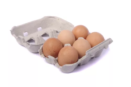 Bio : Les Œufs de Poule Plein Air - photo1