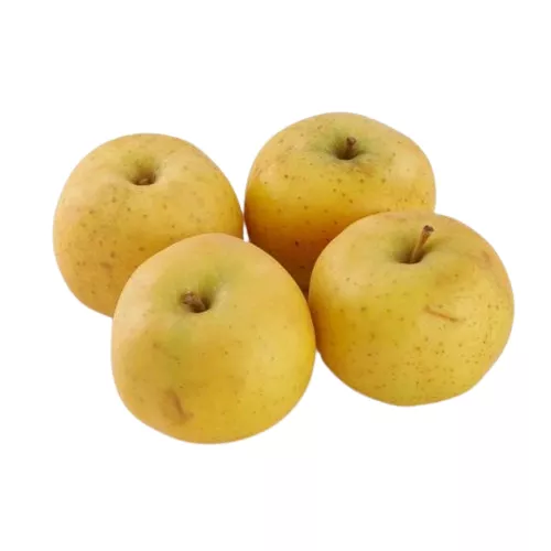 Bio : Pomme Chanteclerc - photo1