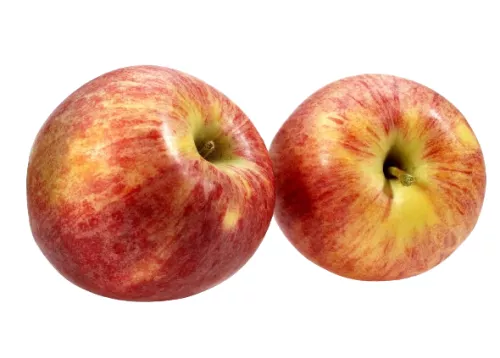 Bio : Pomme Royal Gala - photo1