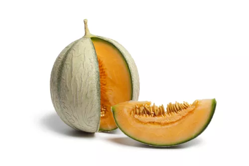 Melon Charentais - photo1