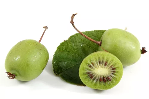 Mini kiwi (Kiwai) - photo2