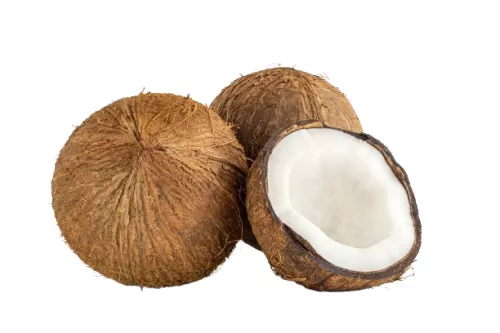 Bio : Noix de Coco - photo1