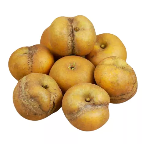 Pomme Patte de Loup - photo1