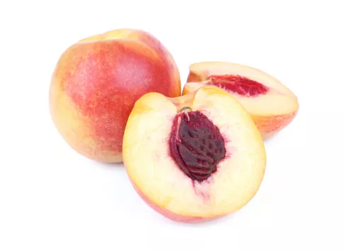 Nectarine Blanche - photo1