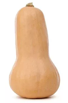 Butternut - photo2