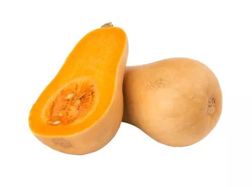 Butternut - photo1