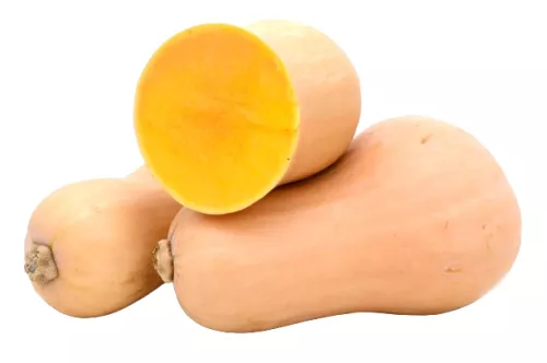 Bio : Butternut - photo1