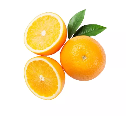 Bio : Oranges à Jus - photo1