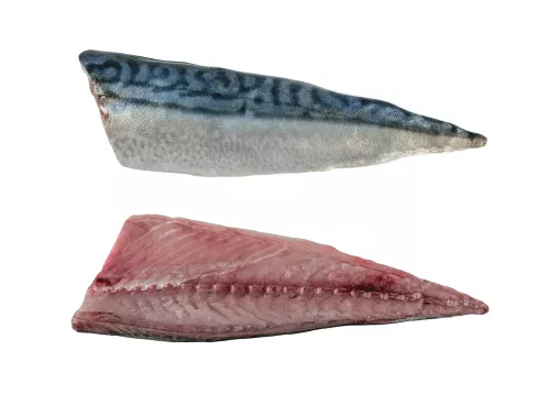 Filet de Maquereau - photo1