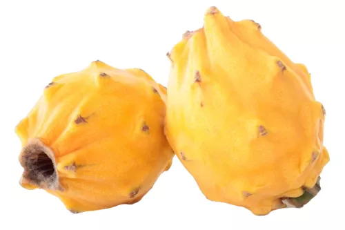Pitaya Jaune - photo1