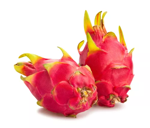 Pitaya Rouge - Photo 1