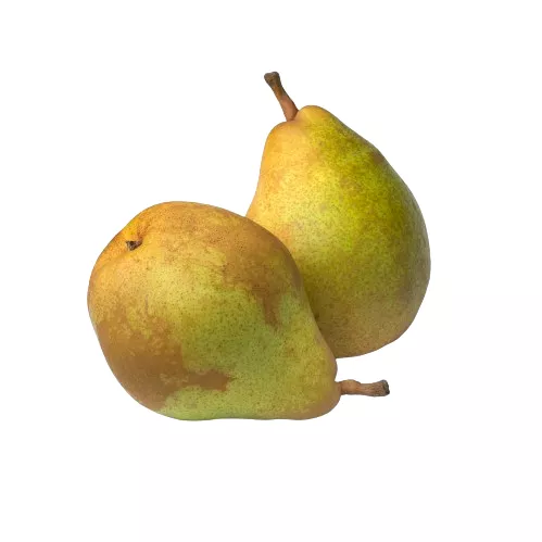 Poire Comice - photo1