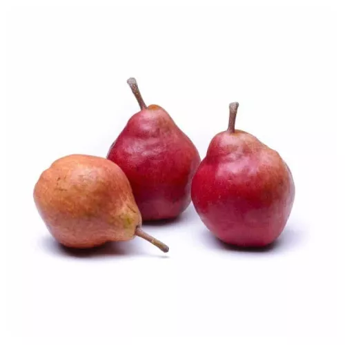Poire Williams Rouge - photo1