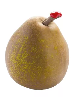 Poire Passe-Crassane - photo1