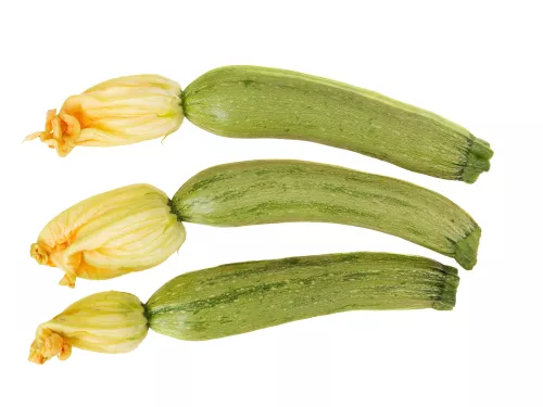 Courgette avec Fleur - Photo 1