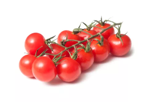 Bio : Tomate Cerise Grappe Ronde - photo1
