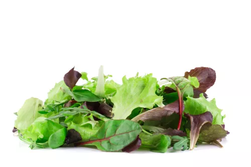 Bio : Mesclun - Photo 1