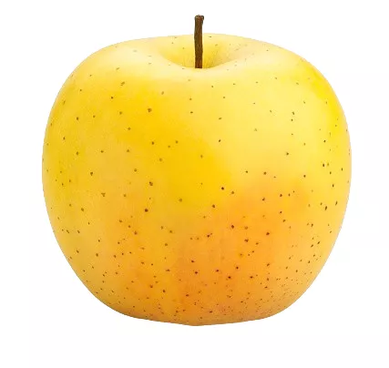 Pomme Golden - photo2
