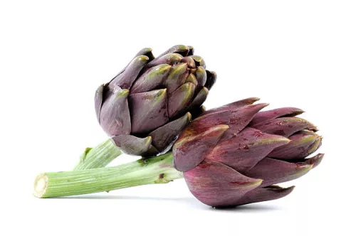 Bio : Artichaut Violet - photo1