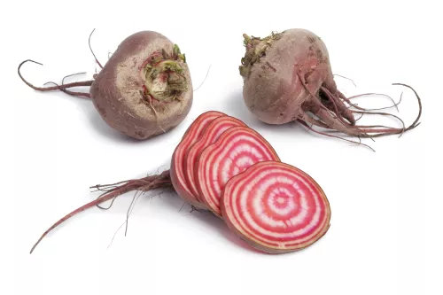 Bio: Betterave Chioggia - photo1