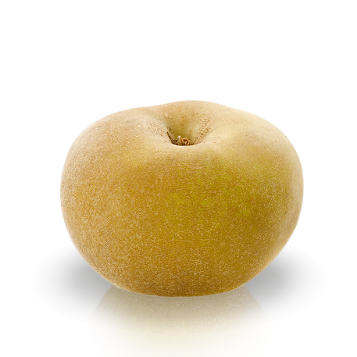 Pomme Canada Grise - Photo 1