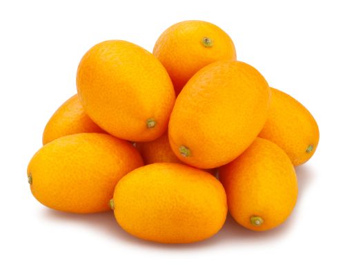 Kumquat - Photo 1